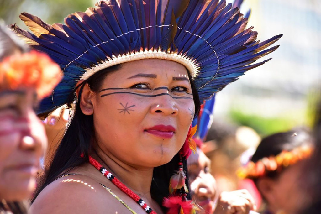 Malgré des défis importants, les communautés forestières amazoniennes trouvent des solutions audacieuses et innovantes pour atténuer le changement climatique et s'y adapter.